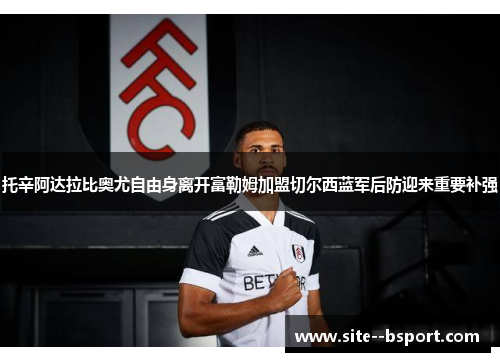 托辛阿达拉比奥尤自由身离开富勒姆加盟切尔西蓝军后防迎来重要补强