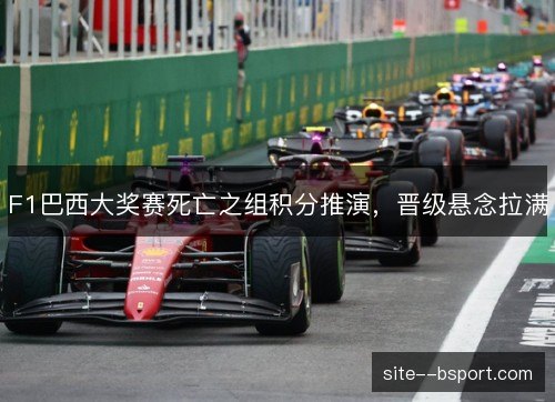 F1巴西大奖赛死亡之组积分推演,晋级悬念拉满 F1巴西大奖赛死亡之组积分推演,晋级悬念拉满